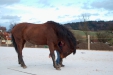 Thumbnail img_9125.jpg 