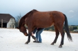 Thumbnail img_9129.jpg 