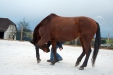 Thumbnail img_9130.jpg 