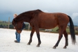 Thumbnail img_9131.jpg 