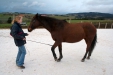 Thumbnail img_9133.jpg 