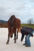 Thumbnail img_9142.jpg 