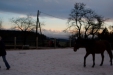 Thumbnail img_9161.jpg 