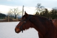 Thumbnail img_9162.jpg 