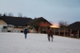 Thumbnail img_9168.jpg 