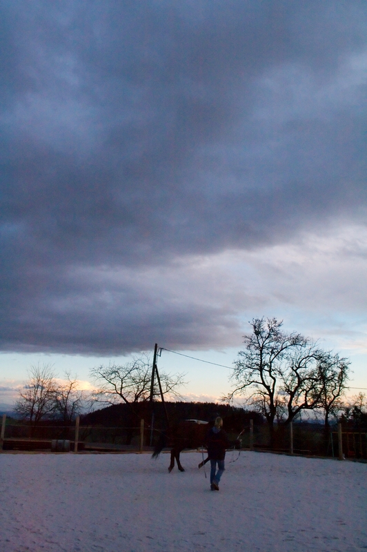 img_9090.jpg 