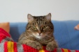 Thumbnail img_5521.jpg 