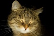 Thumbnail img_6742.jpg 