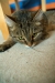Thumbnail img_0538.jpg 