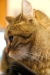 Thumbnail img_1843.jpg 