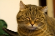 Thumbnail img_1861.jpg 