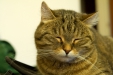 Thumbnail img_1862.jpg 