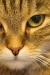 Thumbnail img_1896.jpg 