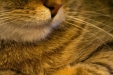 Thumbnail img_1904.jpg 