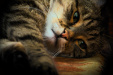 Thumbnail img_5637.jpg 