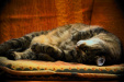 Thumbnail img_5688.jpg 