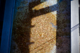Thumbnail _mg_5698.jpg 