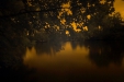 Thumbnail img_2085.jpg 
