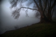 Thumbnail img_2852.jpg 