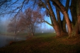 Thumbnail img_2893.jpg 