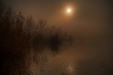 Thumbnail img_2914.jpg 