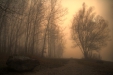 Thumbnail img_2963.jpg 