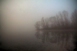 Thumbnail img_2969.jpg 