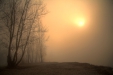 Thumbnail img_2976.jpg 