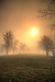Thumbnail img_2982.jpg 