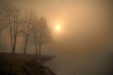 Thumbnail img_2985.jpg 