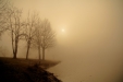 Thumbnail img_2986.jpg 