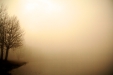 Thumbnail img_2989.jpg 