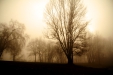 Thumbnail img_2994.jpg 