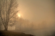 Thumbnail img_2995.jpg 
