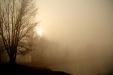Thumbnail img_2997.jpg 