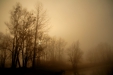 Thumbnail img_3012.jpg 