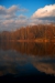 Thumbnail img_3069.jpg 