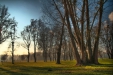 Thumbnail img_3074.jpg 