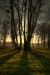 Thumbnail img_3086.jpg 