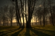 Thumbnail img_3089.jpg 