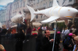 Thumbnail img_6919.jpg 