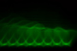 Thumbnail img_4257.jpg 