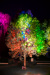 Thumbnail img_6010.jpg 