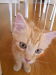 Thumbnail 20170716_183508.jpg 
