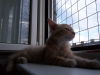 Thumbnail 20170716_193433.jpg 