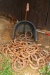 Thumbnail img_6791.jpg 
