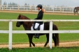 Thumbnail img_6794.jpg 