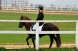 Thumbnail img_6795.jpg 
