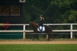 Thumbnail img_6803.jpg 