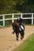 Thumbnail img_6805.jpg 